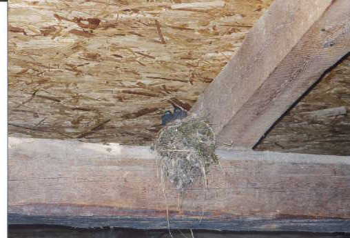 hier wurde bereits 'gev�gelt'