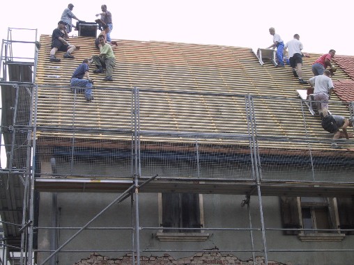 langsam herrscht Leben auf dem Dach