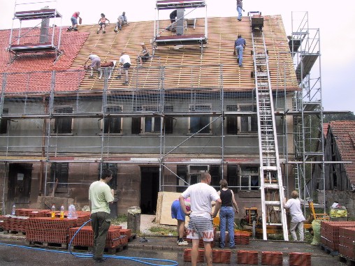 da klettern alle vom Dach